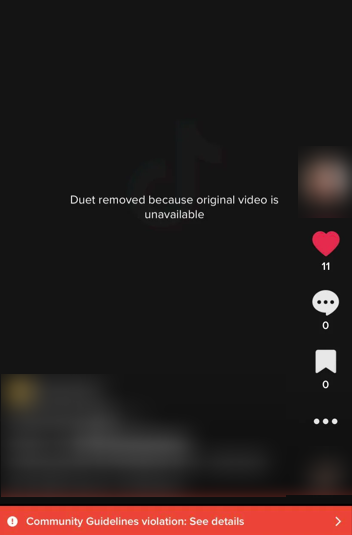 Duet removed because original video is not available