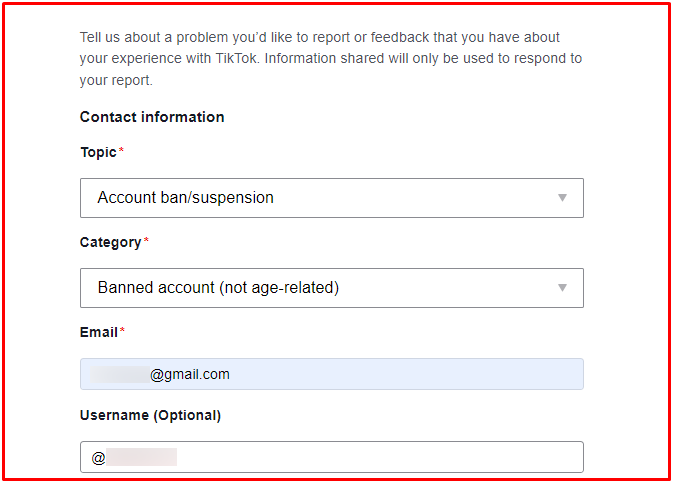 How to Recover a Temporarily Banned TikTok Account - Use TikTok’s "Report a Problem" Form