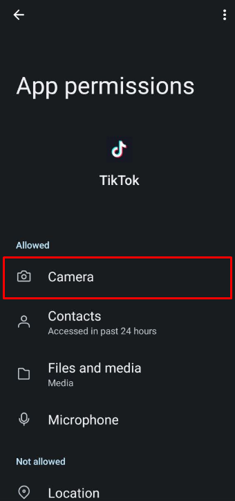 How to Fix TikTok Camera Not Working (iPhone and Android) 2