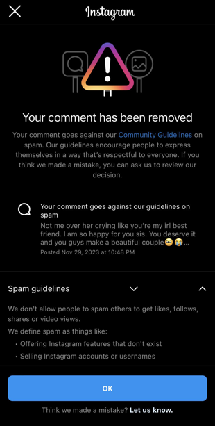 Instagram "Your Comment Has Been Removed"
