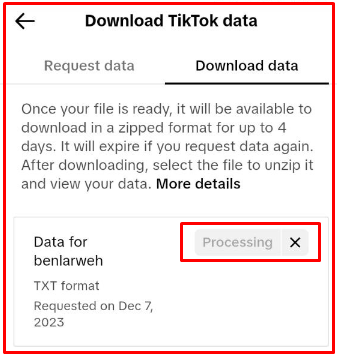 TikTok Data Download Not Working or Pending