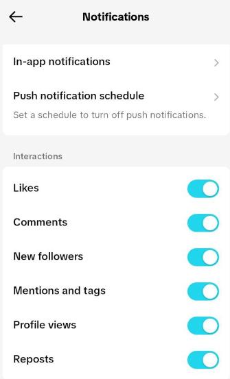 fixes for TikTok Notifications Won't Go Away - check TikTok notification settings