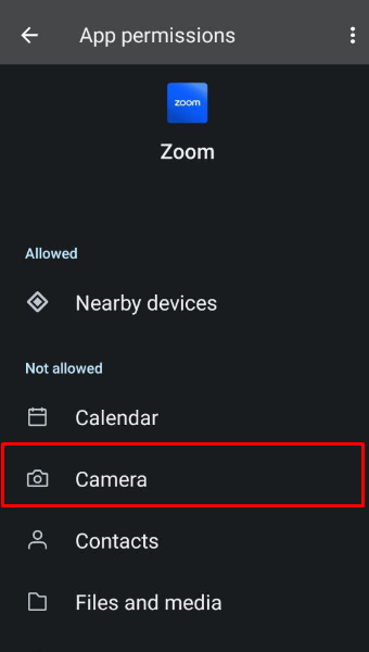 How to Fix Zoom Camera Not Focusing - enable camera permissions